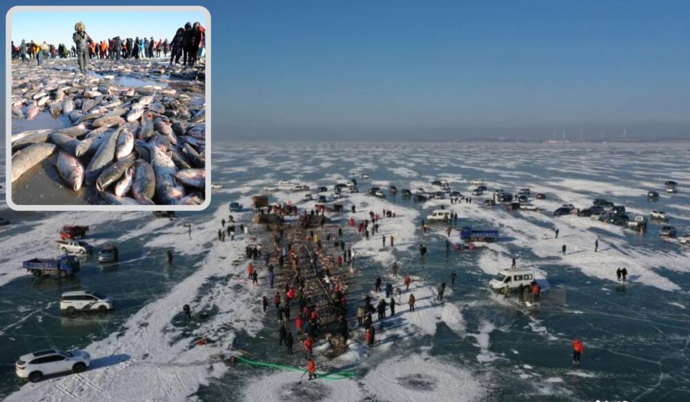 ទិដ្ឋភាព​ប្រជា​នេសាទ​ចាប់​ត្រី 1.5 គីឡូក្រាម​ពី​បឹង​ទឹកកក (វីដេអូ)