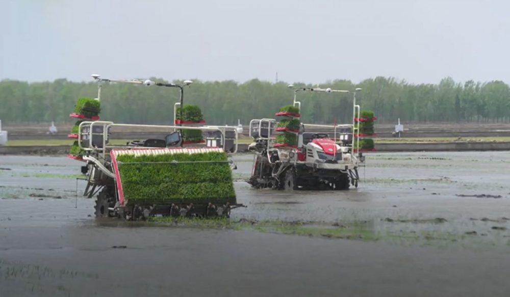 ខាងក្នុង​កសិដ្ឋានស្វ័យប្រវត្ត «គ្មាន​មនុស្ស» នៅ​ប្រទេស​ចិន (វីដេអូ)