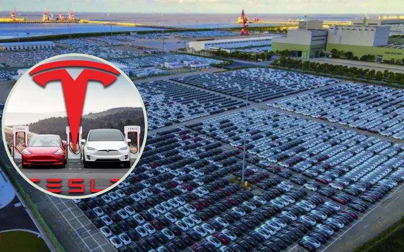 ការផលិត​រថយន្ត​អគ្គិសនី​គ្រឿង​ទី «បួន​លាន» ជួយ​ឱ្យ Tesla នាំមុខគេ​យ៉ាង​ឆ្ងាយ