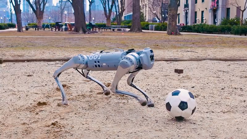 មក​មើល «​រ៉ូ​បូត​សុនក​លេង​បាល់​ទាត់» បាន​យ៉ាង​ស្ទាត់ជំនាញ