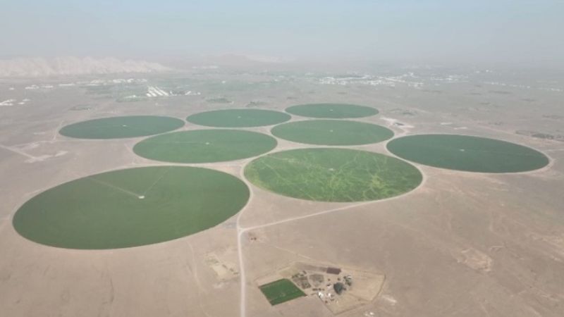 កសិដ្ឋាន​រាង​មូល​ខ្នាត​យក្ស​លើ​សមុទ្រ​ខ្សាច់របស់អេមីរ៉ាត់​អារ៉ាប់រួម